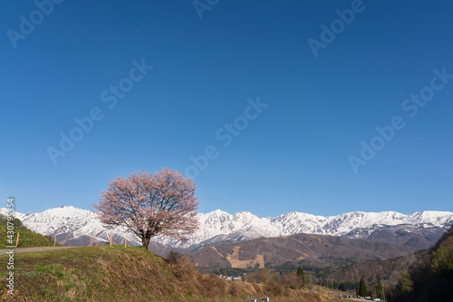 青空 