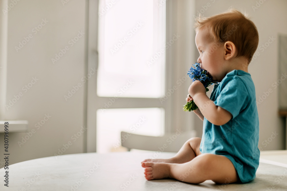 Spring portrait of a boy with a bouquet of flowers. Baby sniffs a bouquet of blue snowdrops Spring portrait of a boy with a bouquet of flowers. Baby sniffs a bouquet of blue snowdrops