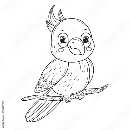 Cute parrot for coloring book.Line art design for kids coloring page.