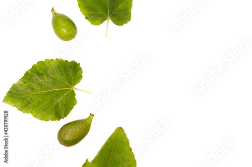 figs next to their green leaves