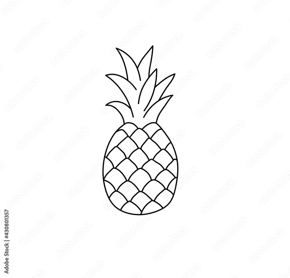 Vector isolated pineapple line drawing. Colorless contour pineapple