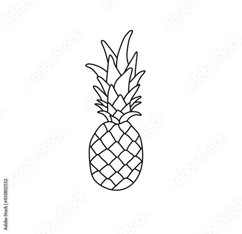 Vector isolated pineapple ananas contour line drawing. Colorless black and white pineapple icon logotype symbol.