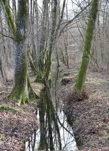 Villeneuve Réserve naturelle 