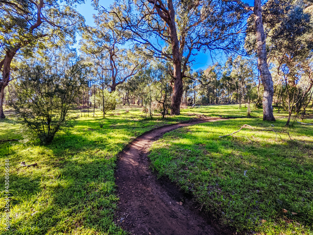 Yarra Trails in Melbourne Australia