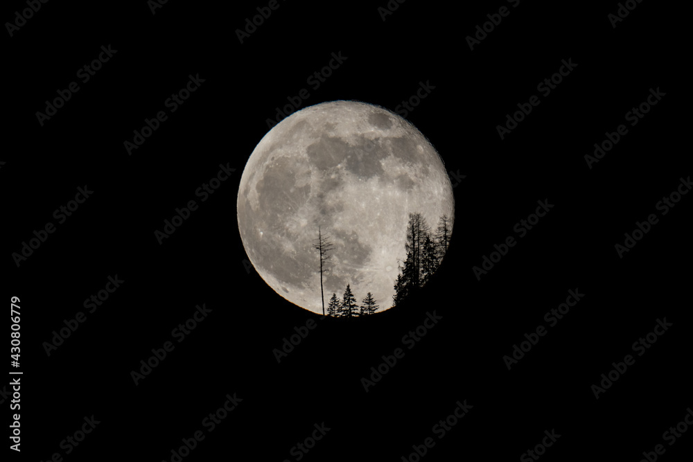 beautiful moonrise over the mountains with tree silhouettes on the horizon beautiful moonrise over the mountains with tree silhouettes on the horizon