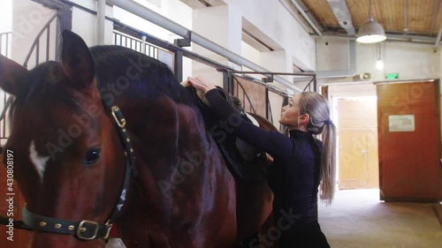 Equestrian sport - a woman in black clothes putting on a saddle on horse