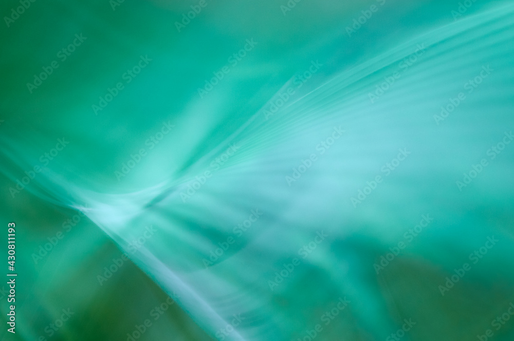 Abstract image of fern in motion. Slow shutter speed and camera motion. Abstract image of fern in motion. Slow shutter speed and camera motion.