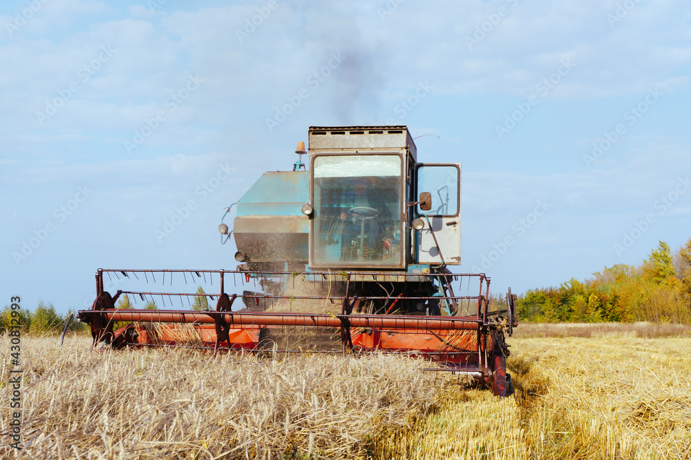 Obraz premium Combine harvester harvests ripe wheat. Concept of a rich harvest. Agriculture image.