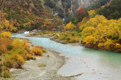 The Shotover River in New Zealand's South Island, surrounded by autumn trees  photo