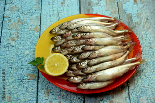 Lots of fresh smelt fish on a colorful plate and wooden background with old blue color, Smelt fishes (European smelt) with lemon and green parsley, Group of fresh smelt fish 