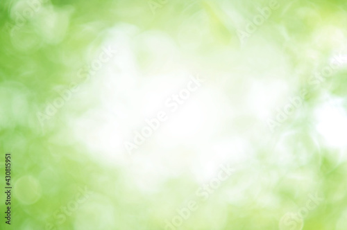 Green Leaf background. Blurred leaves and circular bokeh. Abstract for design and wallpaper.