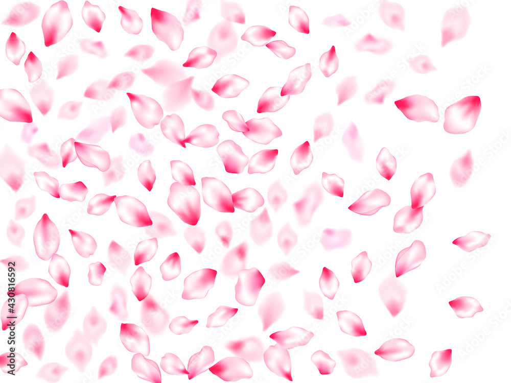 Japanese cherry blossom pink flying petals