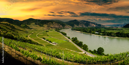 Wachau valley, UNESCO site, landscape with vineyards and Danube river, Austria.