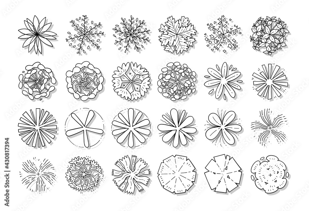 hand drawn vector set of top view tree isolated on white background.
