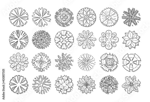 hand drawn vector set of top view tree isolated on white background.
