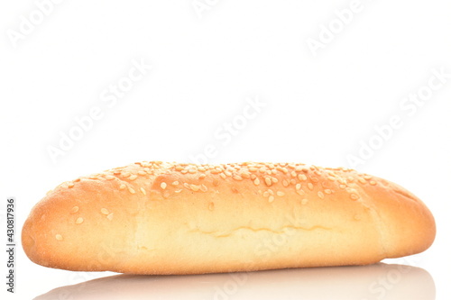 One fresh flavored bagel, close-up, isolated on white.