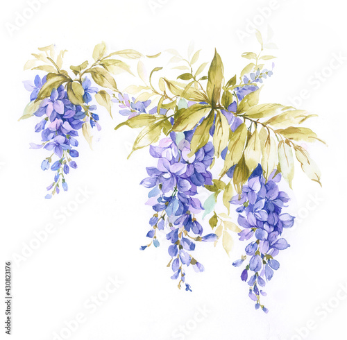 Flowers watercolor illustration.Manual composition.Big Set watercolor elements，Design for textile, wallpapers，Element for design,Greeting card
