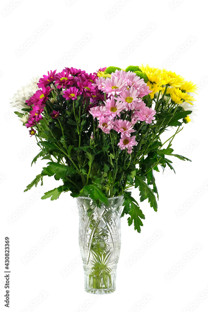 Bouquet of colorful carnations in a vase isolated on a white background. Spring flowers