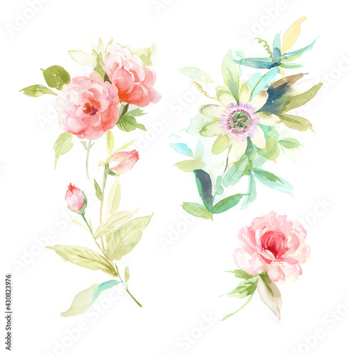 Flowers watercolor illustration.Manual composition.Big Set watercolor elements   Design for textile  wallpapers   Element for design Greeting card