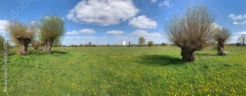 Lippeauen bei Bergkamen / Werne in NRW photo