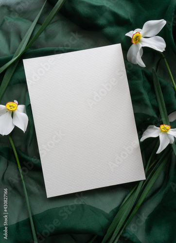 Mockup card with daffodils and green ribbon