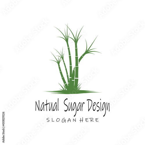 Sugar cane Logo Template vector symbol nature