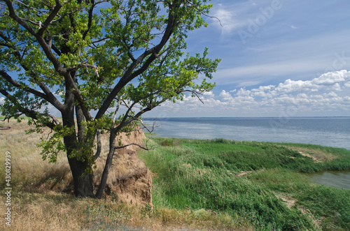 Steppe on the banks of the Volga