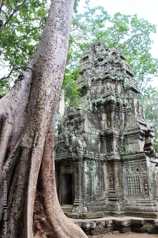 angkor wat temple cambodia phnom penh siem reap