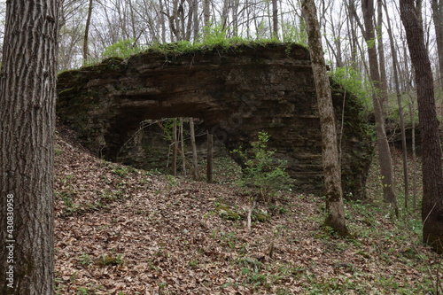 a natural arch standing in the woods 
