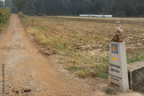 Camino de Santiago Compostela Way of St. James Scallop photo