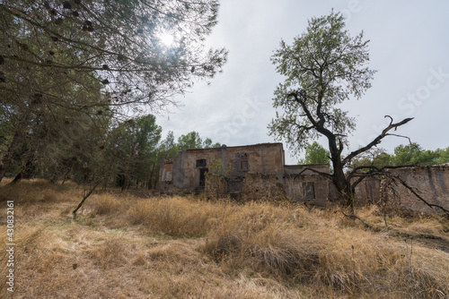 ruined farmhouse in the forest in southern Spain