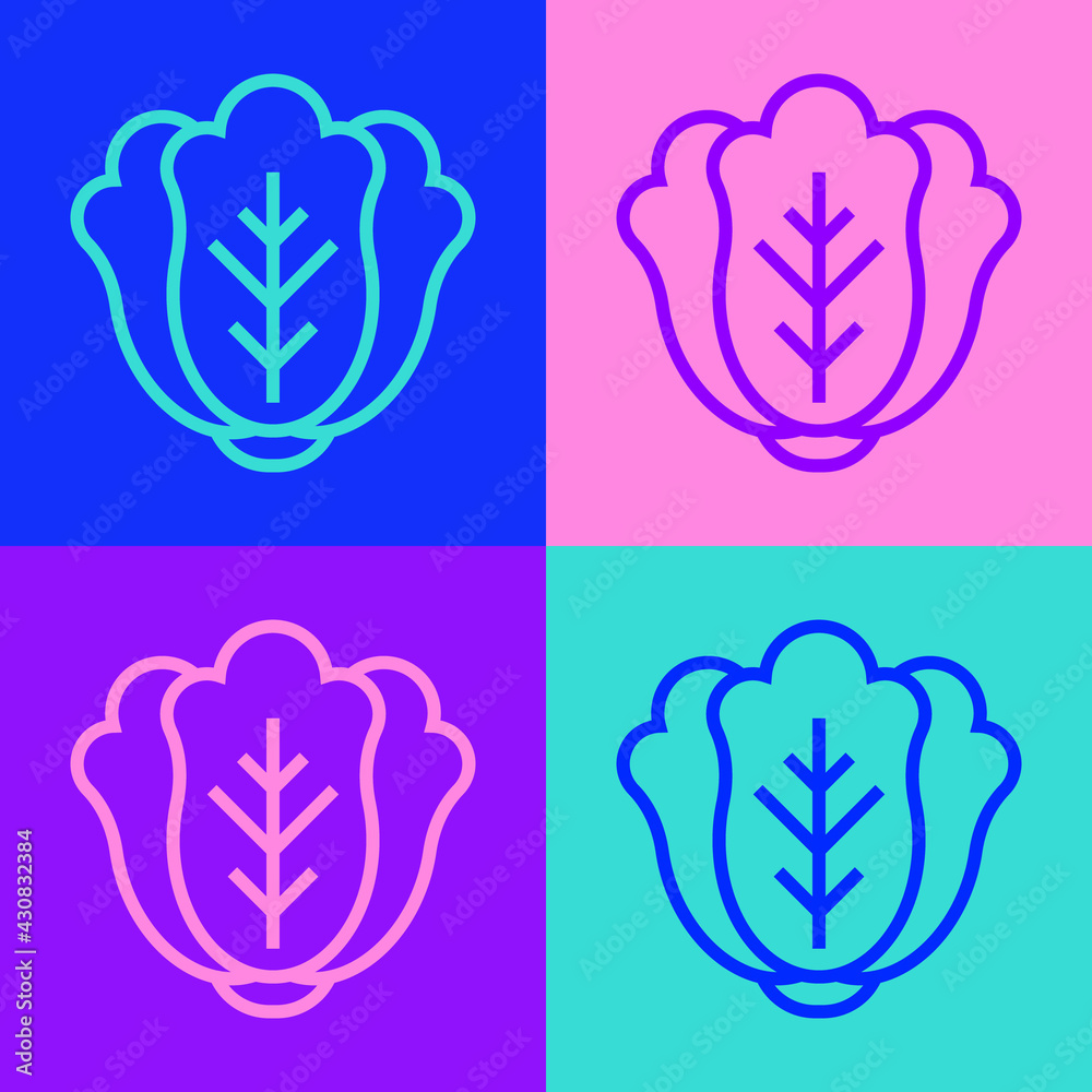 Pop art line Fresh cabbage vegetable icon isolated on color background. Vector Pop art line Fresh cabbage vegetable icon isolated on color background. Vector