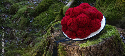 Obraz na płótnie Black Forest Panorama Banner Greeting Card - Red traditional Bollenhut on tree t