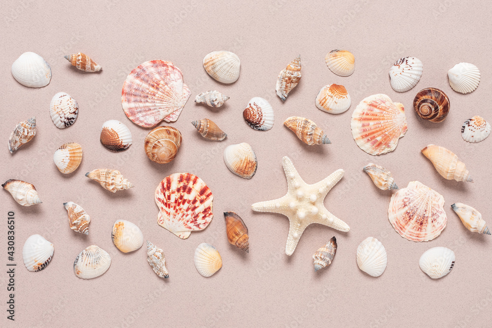 Beautiful summer composition of various seashells. Seashells and starfish on a beige craft paper background. Top view, flat lay. Beautiful summer composition of various seashells. Seashells and starfish on a beige craft paper background. Top view, flat lay.