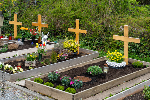 Gräber mit Holzkreuzen auf enem Friedhof photo