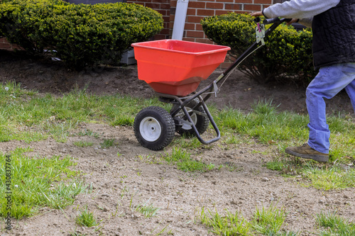 The gardener works with seeding and fertilizing the lawn sows fresh grass