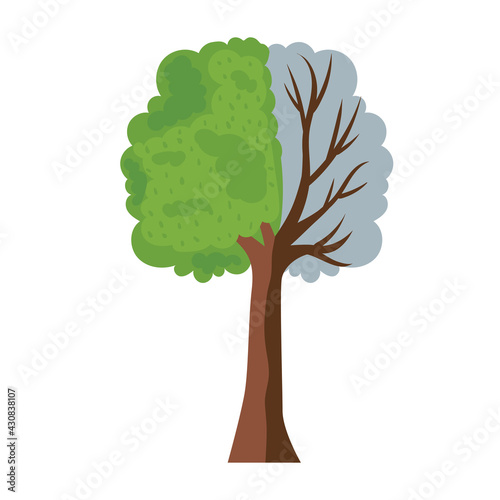 tree half dead and half alive