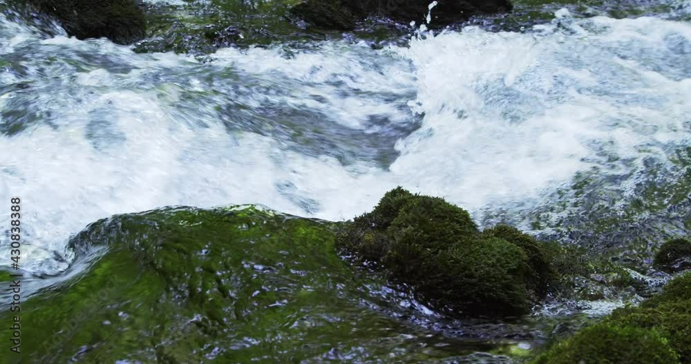 Crna rijeka stream with the rapids and rocks covered by moss, Plitvice Lakes, Croatia Crna rijeka stream with the rapids and rocks covered by moss, Plitvice Lakes, Croatia
