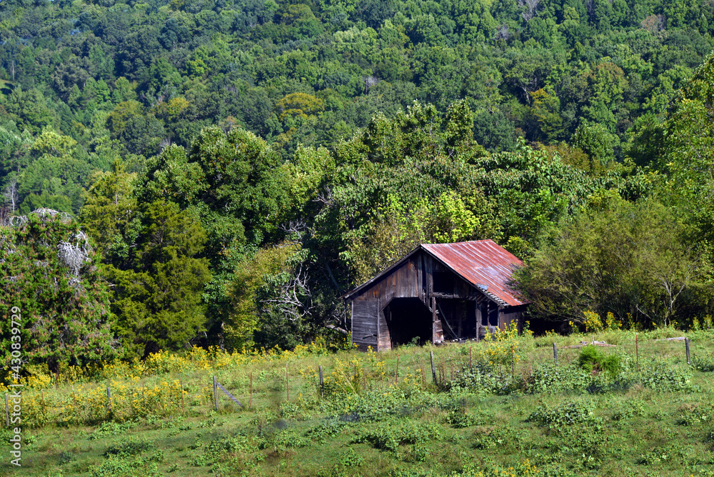 Agricultural Remnant Alone Against Tennessee Mountain