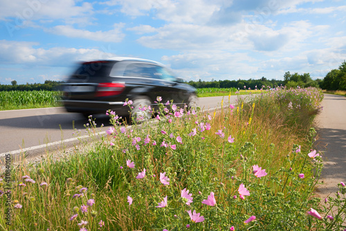 very fast black car driving on the road, perspective from roadside green space with wildflowers