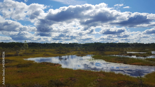 Fototapeta Naklejka Na Ścianę i Meble -  estonia swamp moor landscape nature trail national park