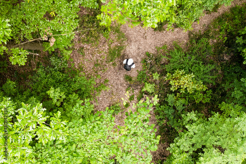 View from above, stunning aerial view of a person walking on a trail in a forest surrounded by a beautiful lush vegetation with green oak trees. Travel concept, outdoor pursuit. photo