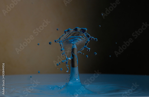 Splash