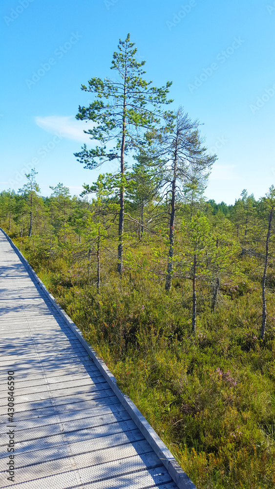 estonia landscape nature trail national park