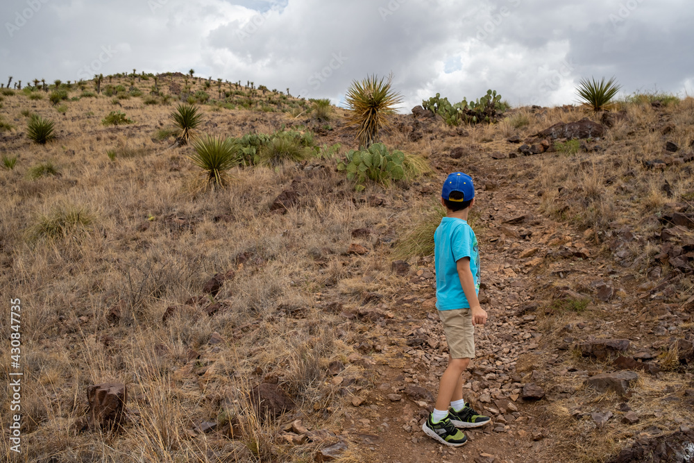 Fototapeta premium boy looking up mountain trail in desert