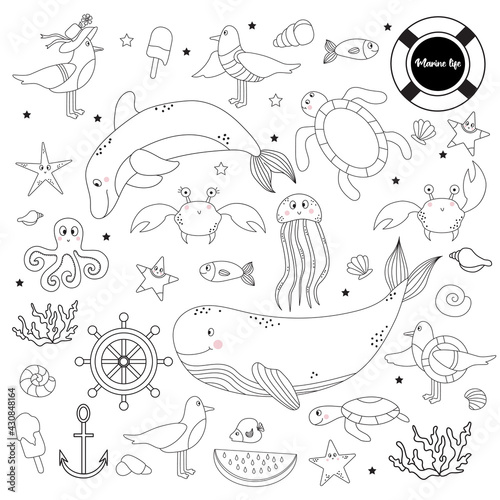 Large set of marine animals and plants. Underwater inhabitants - whale and dolphin, octopus and fish, starfish and jellyfish, turtles and seagulls, shells and corals. Vector. Line, outline. Isolated