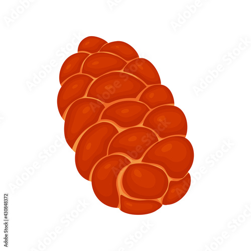 Challah is the national Jewish food. White bread. Vector illustration isolated on white background.