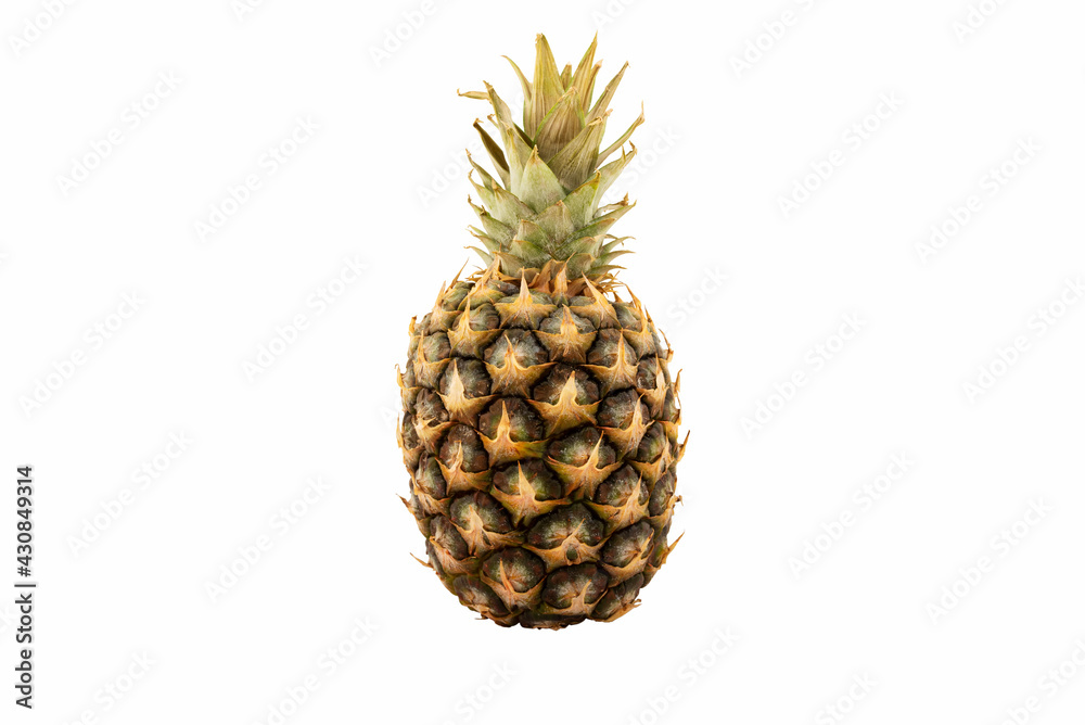 Sluggish pineapple isolated on white background. Sluggish pineapple isolated on white background.