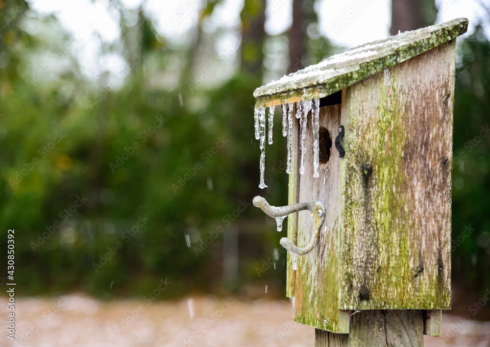 A bluebird box covered in freezing rain and icicles A bluebird box covered in freezing rain and icicles