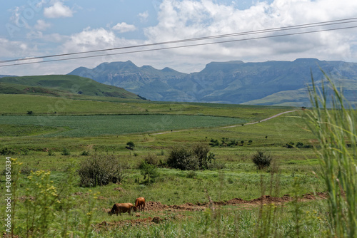 Südafrika - KwaZulu-Natal - Drakensberge photo